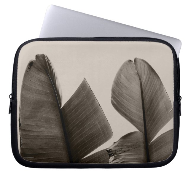 Capa Para Notebook Folhas de árvores de banana na Sepia (Frente)