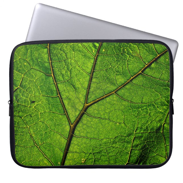 Capa Para Notebook Folhas de borboleta veias verdes (Frente)