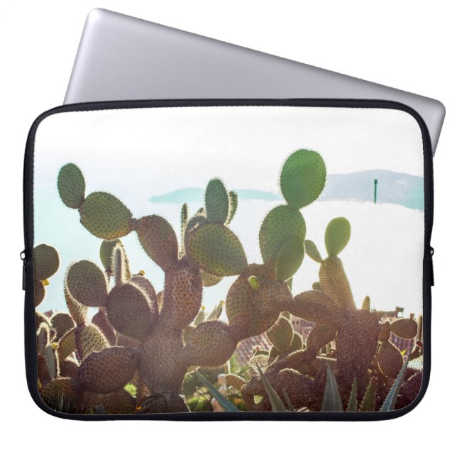 Capa Para Notebook Folhas de cacto. Planta ao ar livre com luz (Frente)