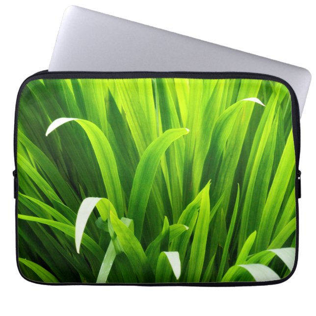 Capa Para Notebook Folhas Iluminadas por Trás no Jardim (Frente)