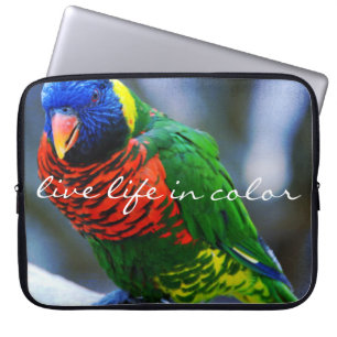 Capa Para Notebook Foto Colorida Lorikeet Bird "Live Life in Color"