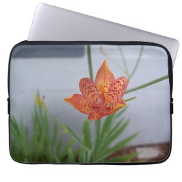 Capa Para Notebook foto da Lily de Blackberry laranja com manchas ver