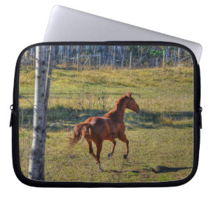 Capa Para Notebook Foto de Cavalo Equino Ranch