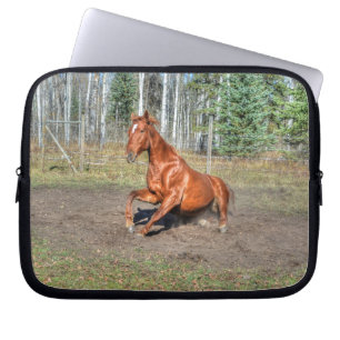 Capa Para Notebook Foto de Cavalo Equino Ranch