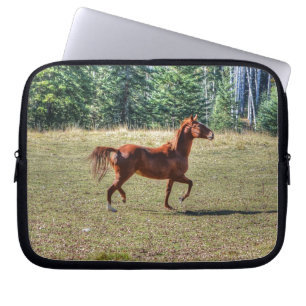 Capa Para Notebook Foto de Cavalo Equino Ranch