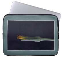 Foto de Retrato de Flor Clássico de Bela Oculta Fl