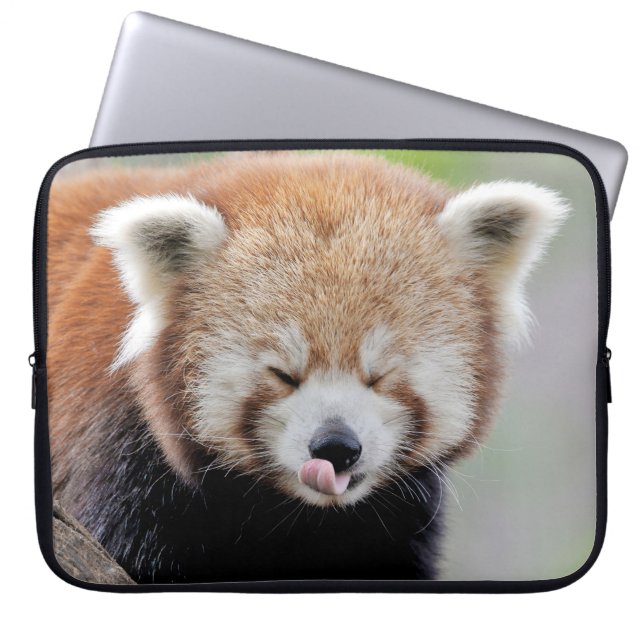 Capa Para Notebook Foto panda, capas de laptop de animais. (Frente)