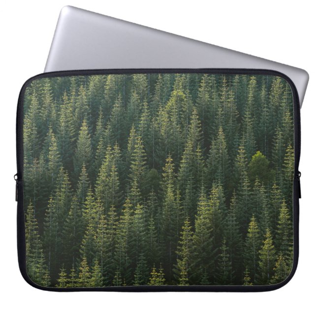 CAPA PARA NOTEBOOK FOTOGRAFIA AERIAL DA FLORESTA (Frente)