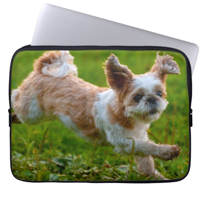 Capa Para Notebook Fotografia Bela Executando Shih Tzu Dog (Frente)