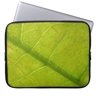 Capa Para Notebook Fotografia Botânica de Folha Verde