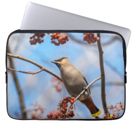 Capa Para Notebook Fotografia de Aves, Papa-Tudo Cereiragraúdo