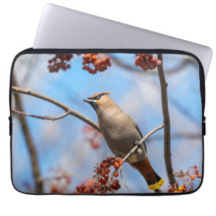 Capa Para Notebook Fotografia de Aves, Papa-Tudo Cereiragraúdo