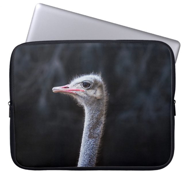 Capa Para Notebook Fotografia de Avestruz (Frente)