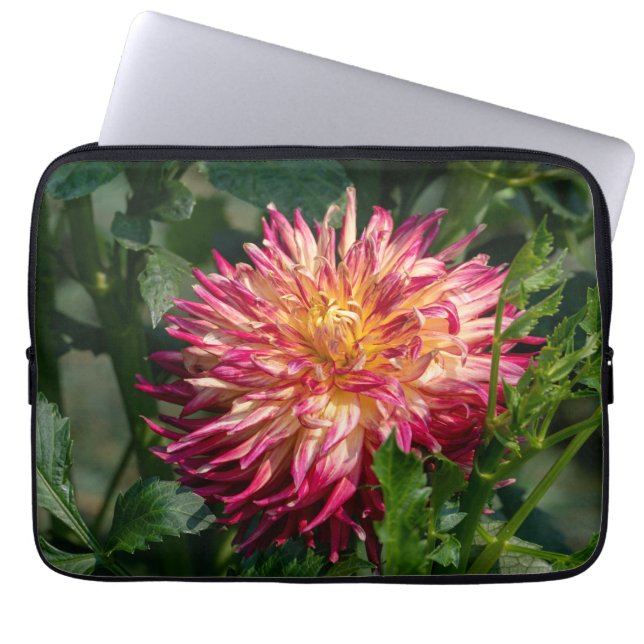 Capa Para Notebook Fotografia de Crisântemo Laranja, Flor Canadense (Frente)