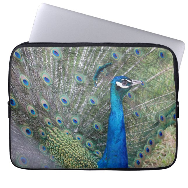 Capa Para Notebook Fotografia de Peacock (Frente)