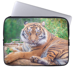 Capa Para Notebook Fotografia Impressionante de Tigre Reclinado
