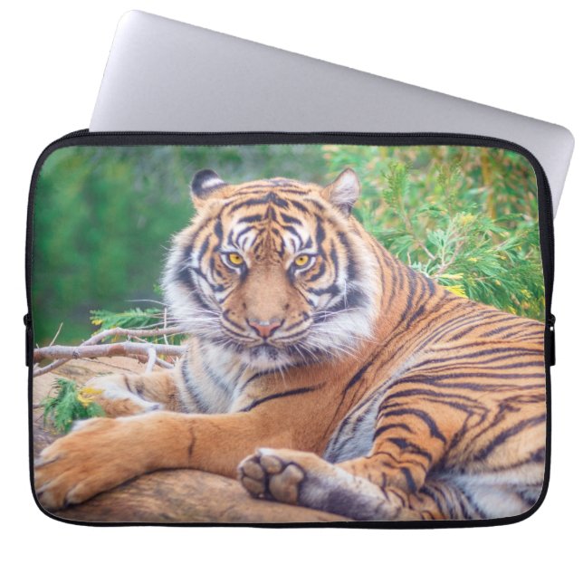 Capa Para Notebook Fotografia Impressionante de Tigre Reclinado (Frente)