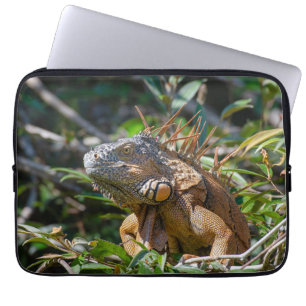 Capa Para Notebook Fotografia Lizard, Orange Iguana