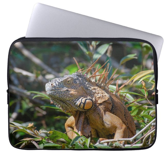Capa Para Notebook Fotografia Lizard, Orange Iguana (Frente)