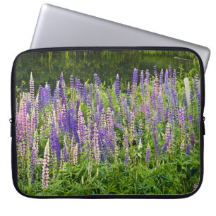 Capa Para Notebook Fotografia roxa e cor-de-rosa do Lupine
