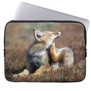 Capa Para Notebook Fox Cinza no Parque Nacional Torres Del Paine