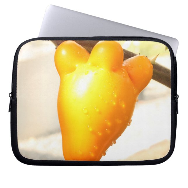 Capa Para Notebook Fox Face Fruta (Frente)