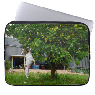 Capa Para Notebook Fox Terrier O Salto, Bolsa de laptop