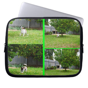 Capa Para Notebook Fox_Terrier,_Photo_Collage_10inch_Laptop_Capa.