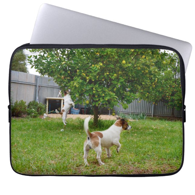 Capa Para Notebook Fox Terrier Playtime, Bolsa de laptop de 13 polega (Frente)