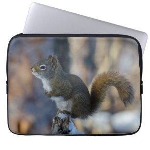 Capa Para Notebook Frosty Forager: Esquilo de inverno canadense