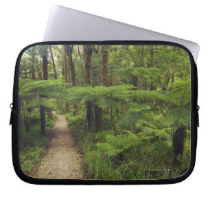 Capa Para Notebook Fuga de caminhada na floresta húmida com árvores