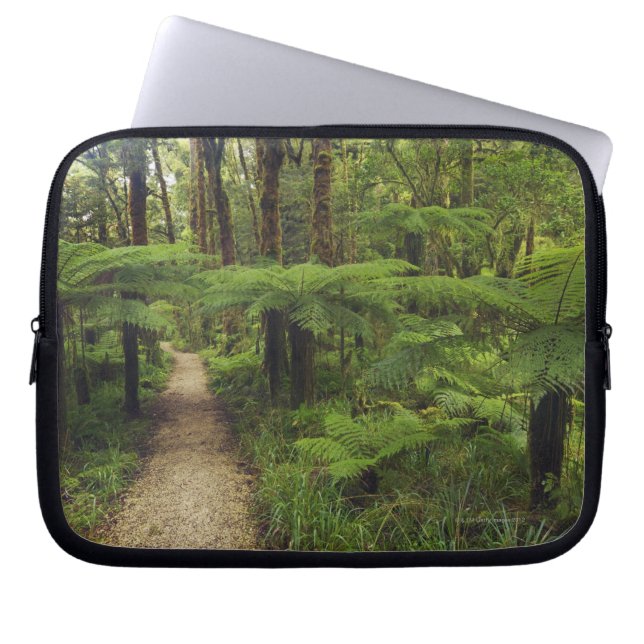 Capa Para Notebook Fuga de caminhada na floresta húmida com árvores (Frente)