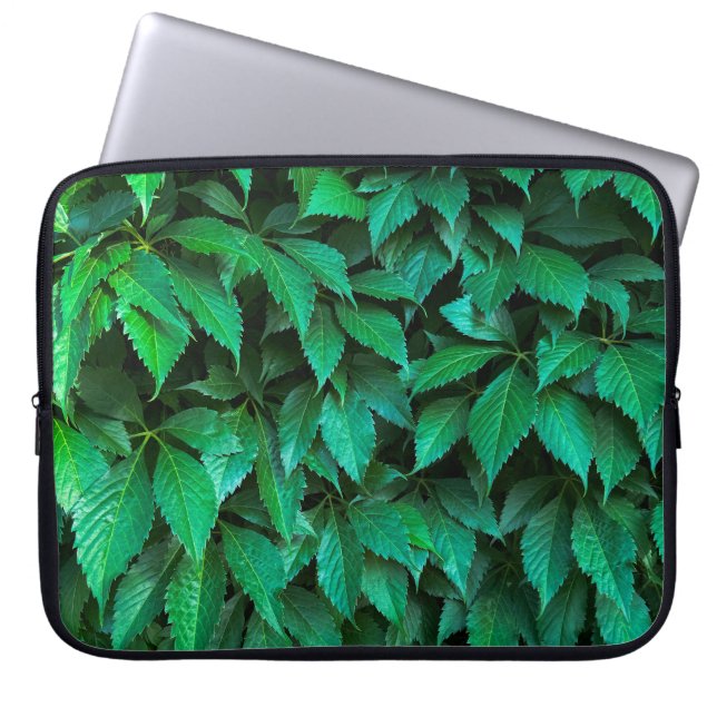 Capa Para Notebook fundo de cerca viva verde padrão parthenocissus te (Frente)