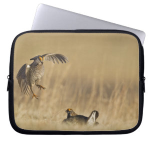 Capa Para Notebook Galo-da-pradaria macho em lek no condado de Loup