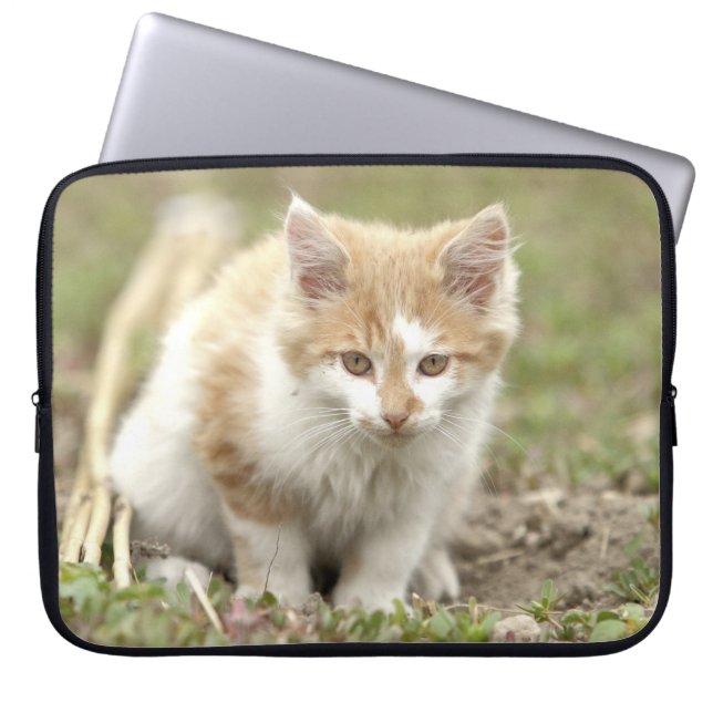 Capa Para Notebook Galo fotográfico, capas laptop de animais. (Frente)