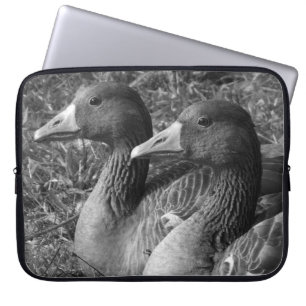 Capa Para Notebook Gansos Greylag (B&W)