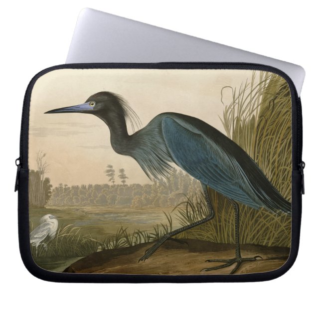 Capa Para Notebook Garça Azul Audubon Pintura (Frente)