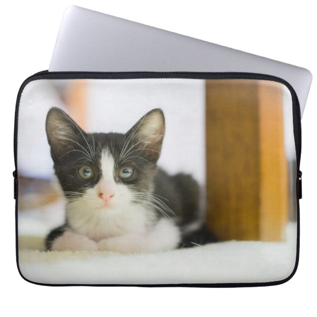Capa Para Notebook Gatinho branco e preto doce (Frente)