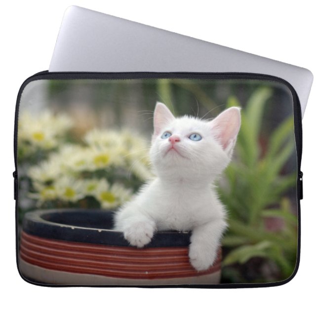 Capa Para Notebook Gatinho branco turco (Frente)