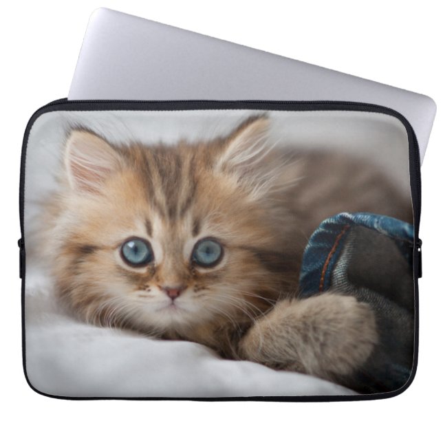 Capa Para Notebook Gatinho com olhos azuis (Frente)