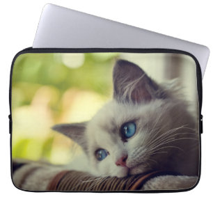 Capa Para Notebook Gatinho de Ragdoll