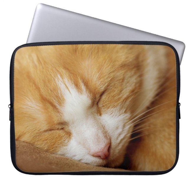Capa Para Notebook Gatinho Dormindo (Frente)