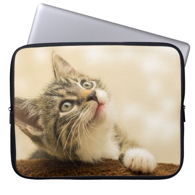 Capa Para Notebook Gatinho Fofo com uma Pata Estimulada (Frente)