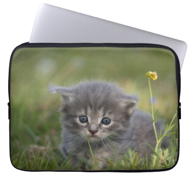 Capa Para Notebook Gatinho Fofo Personalizado (Frente)
