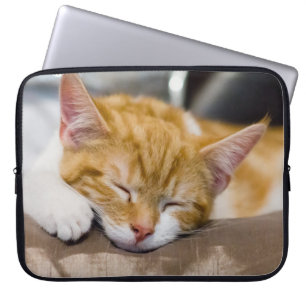 Capa Para Notebook Gatinho Gato
