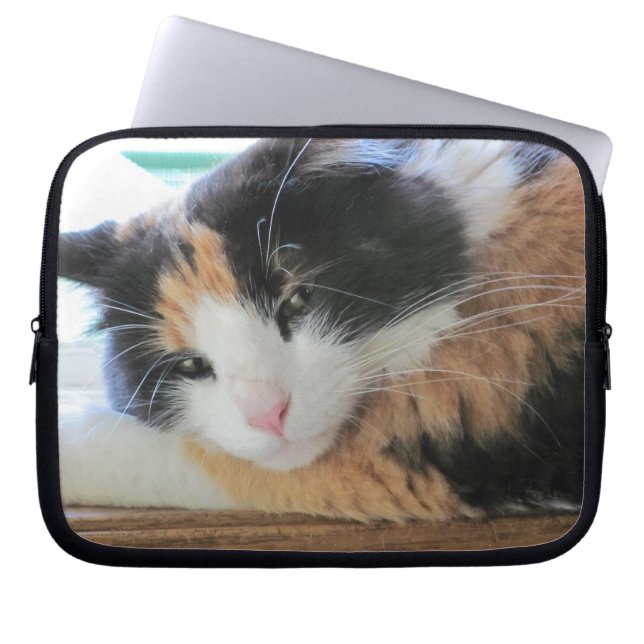 Capa Para Notebook Gatinho gracioso da chita (Frente)
