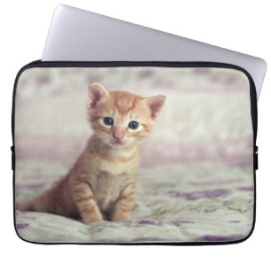 Capa Para Notebook Gatinho minúsculo do gengibre