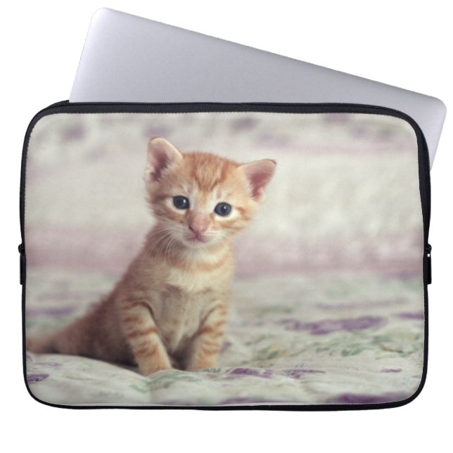Capa Para Notebook Gatinho minúsculo do gengibre (Frente)