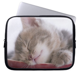Capa Para Notebook Gatinho que dorme na bacia 2
