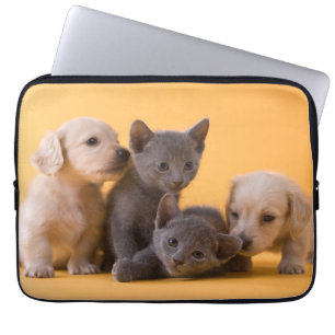 Capa Para Notebook Gatinhos do russo & filhotes de cachorro azuis do